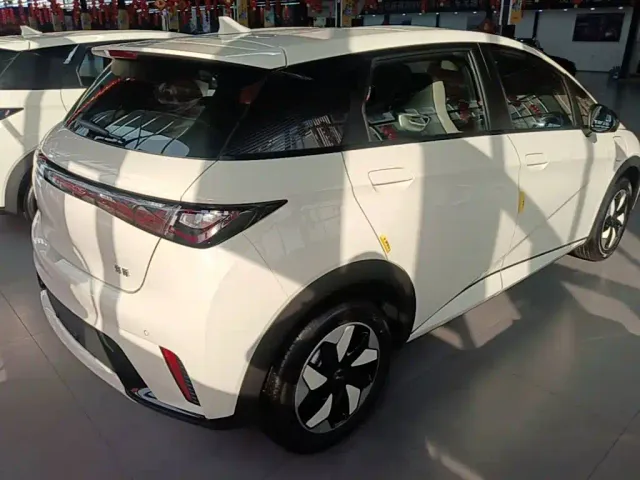 BYD Dolphin — Фото автомобиля 6
