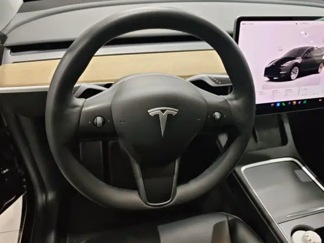 Tesla Model Y — Фото автомобиля 10