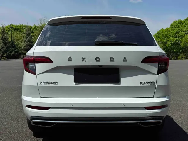 Skoda Karoq — Фото автомобиля 5