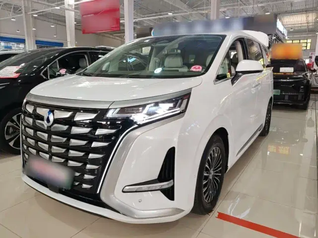 Фотография автомобиля — Denza D9