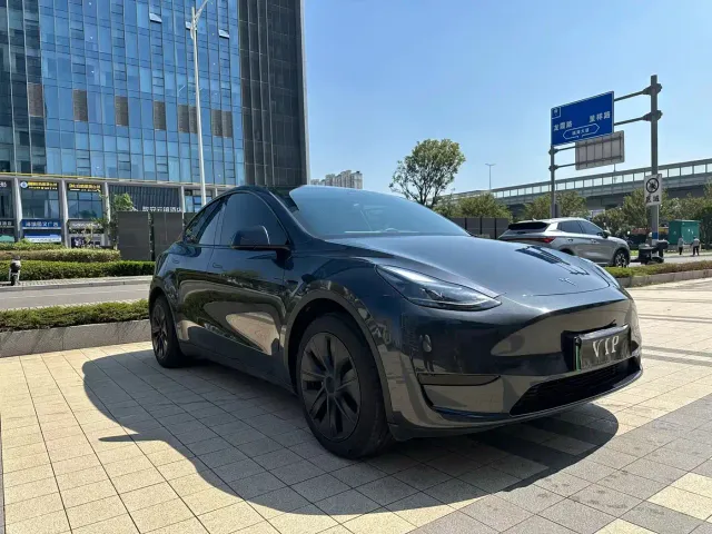 Tesla Model Y — Фото автомобиля 2