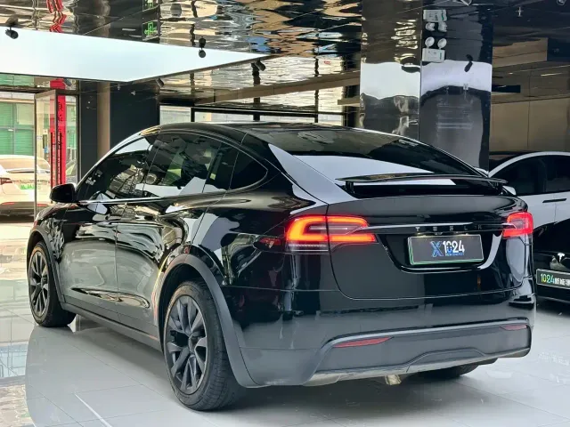 Tesla Model X — Фото автомобиля 6
