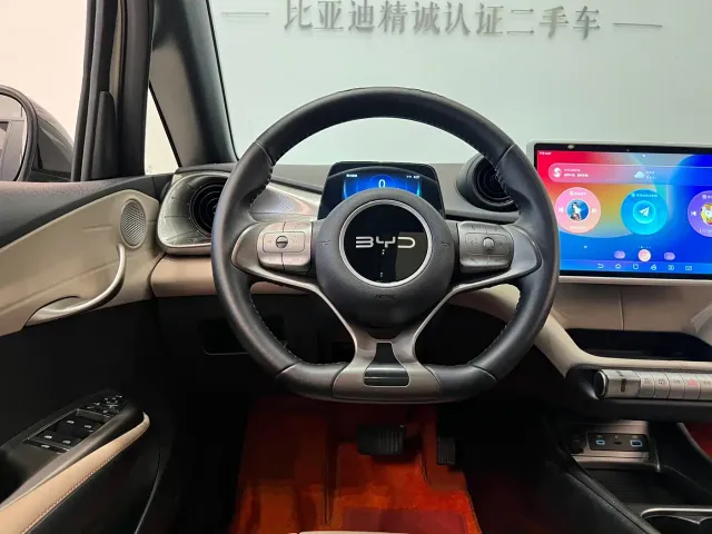 BYD Dolphin — Фото автомобиля 12