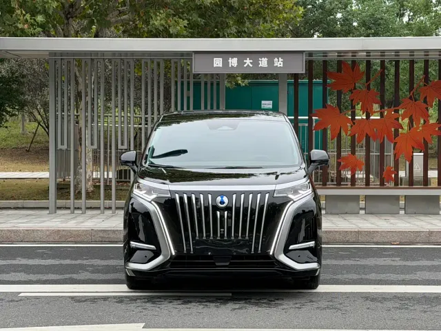 Denza D9 — Фото автомобиля 2