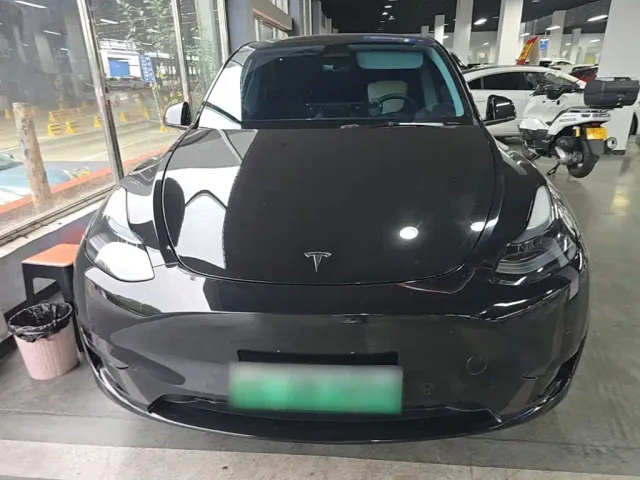 Tesla Model Y — Фото автомобиля 2