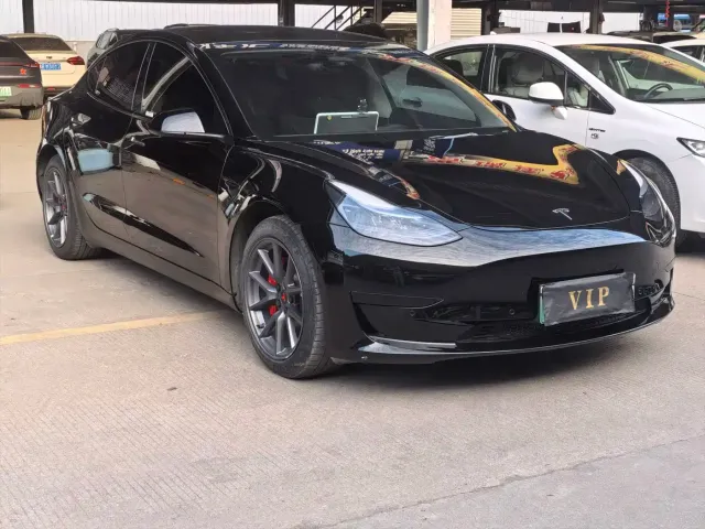 Tesla Model 3 2022 Model Rear-Wheel Drive Version — Фото автомобиля 3