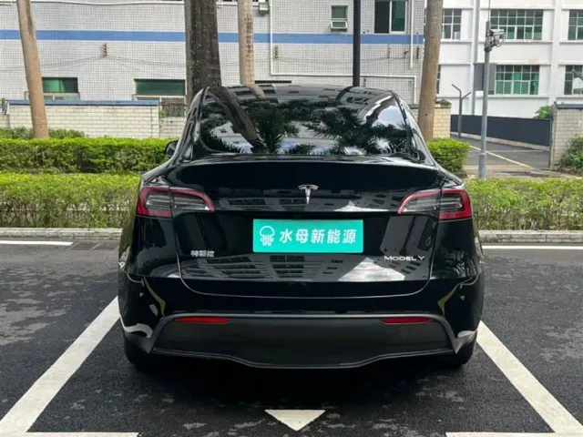 Tesla Model Y — Фото автомобиля 7