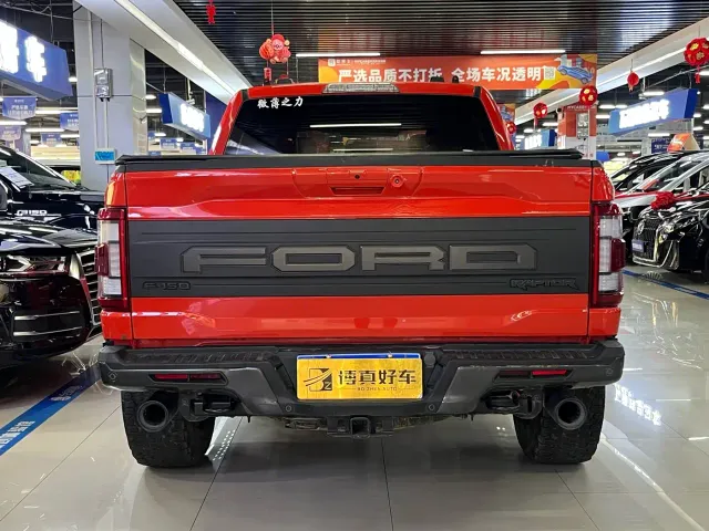 Ford F-150 Raptor — Фото автомобиля 8
