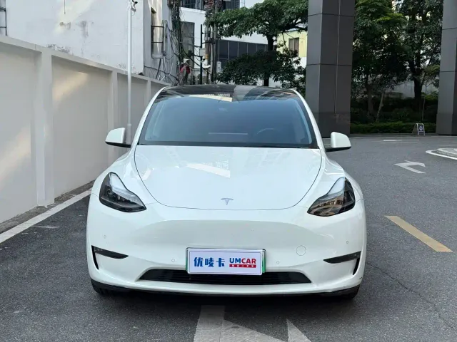 Tesla Model Y — Фото автомобиля 2
