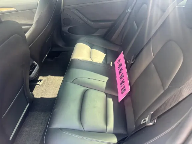 Tesla Model 3 — Фото автомобиля 8