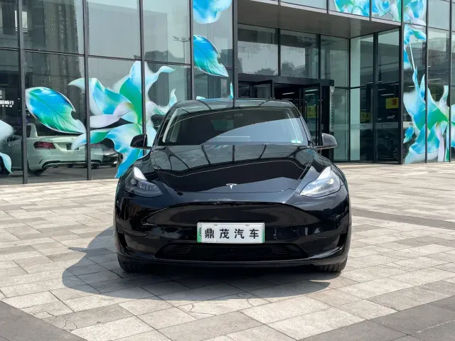 Tesla Model Y — Фото автомобиля 2