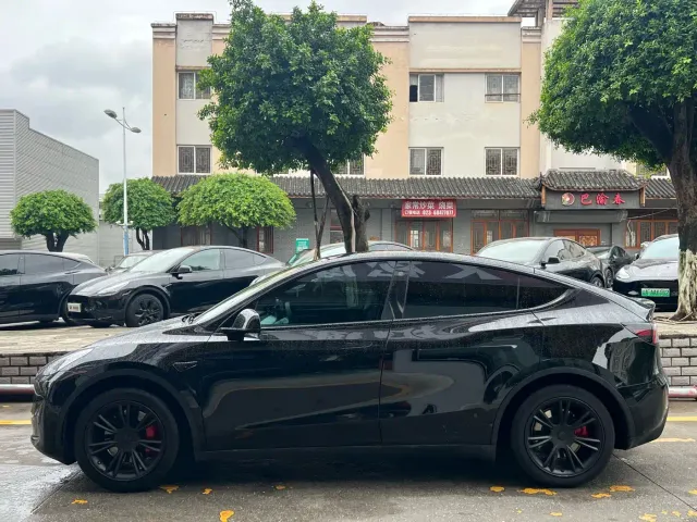 Tesla Model Y — Фото автомобиля 4