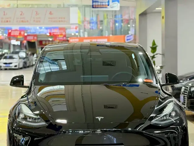Tesla Model Y — Фото автомобиля 2