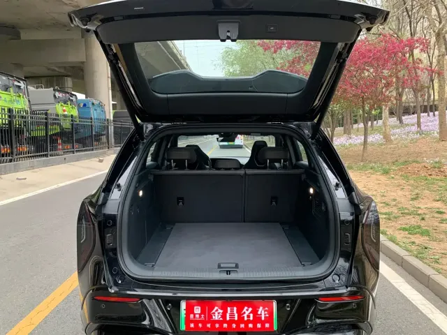 Hongqi Tian Gong 08 — Фото автомобиля 7