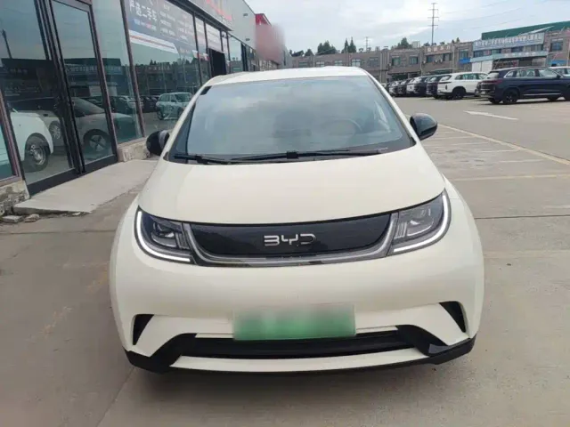 BYD Dolphin — Фото автомобиля 2