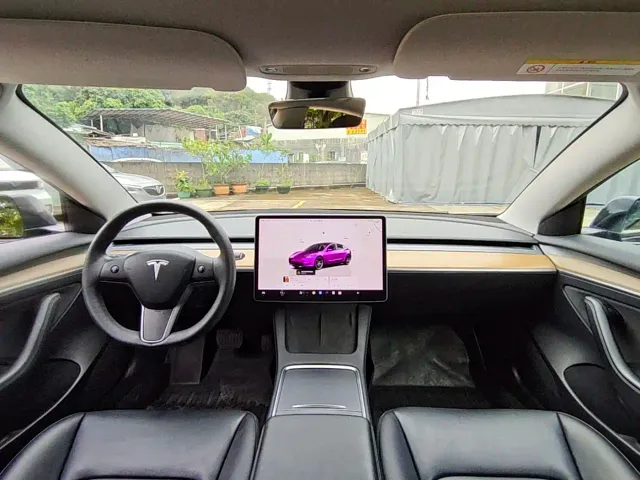 Tesla Model 3 — Фото автомобиля 10