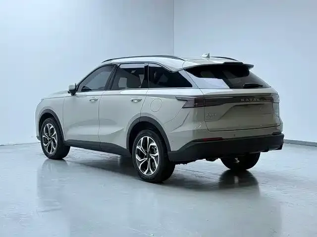 Haval Xiaolong MAX — Фото автомобиля 11