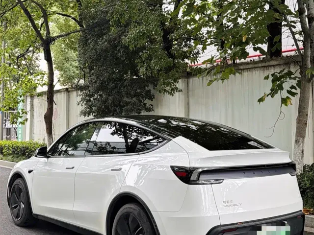 Tesla Model Y — Фото автомобиля 8