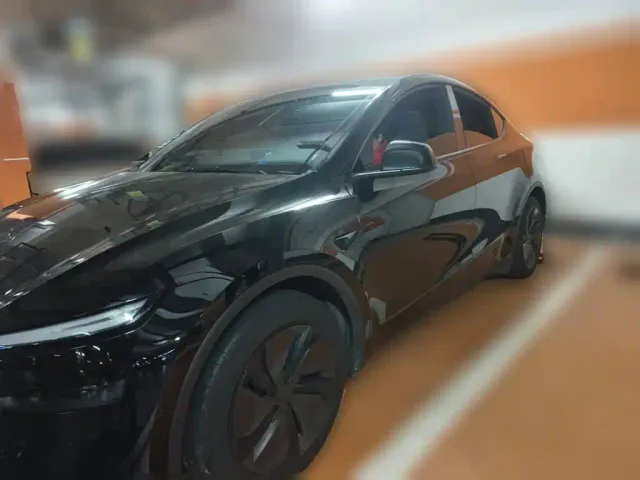 Tesla Model Y — Фото автомобиля 2