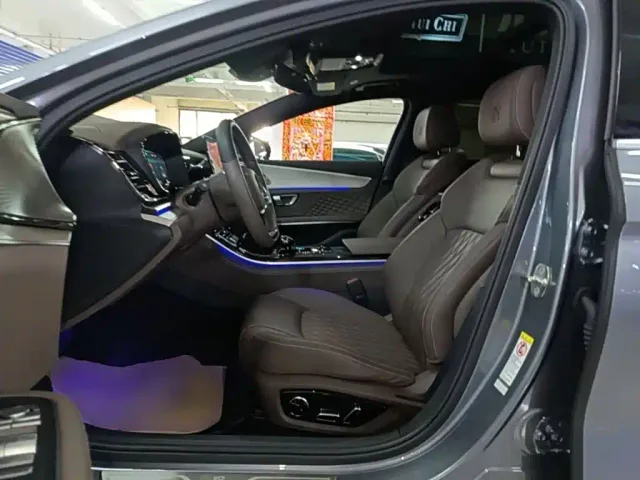BYD Han — Фото автомобиля 14