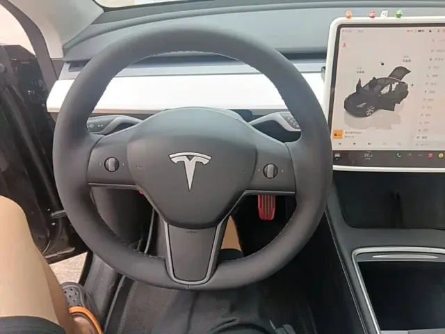 Tesla Model Y — Фото автомобиля 10