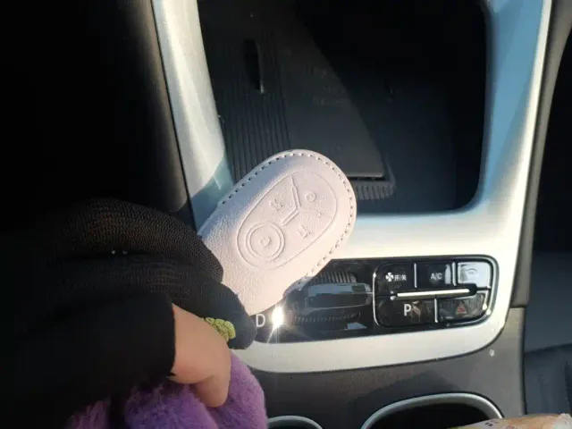 Geely Starry Wish — Фото автомобиля 9