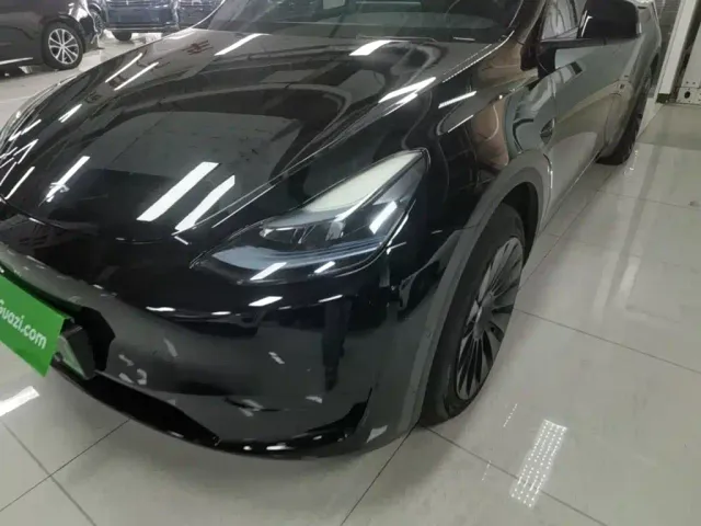 Tesla Model Y — Фото автомобиля 23