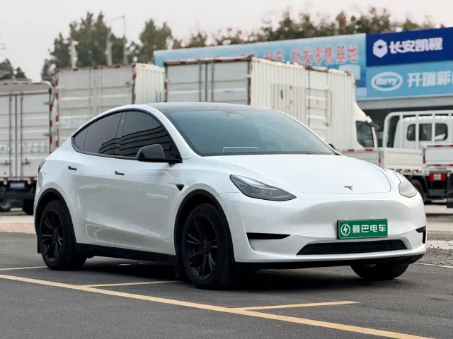 Tesla Model Y — Фото автомобиля 3