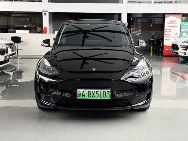 Tesla Model Y — Фото автомобиля 2