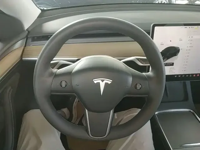 Tesla Model Y — Фото автомобиля 10