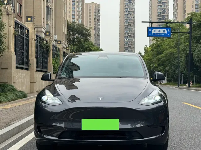 Tesla Model Y — Фото автомобиля 3