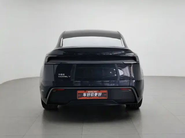 Tesla Model Y 2025 Rear-Wheel Drive — Фото автомобиля 4
