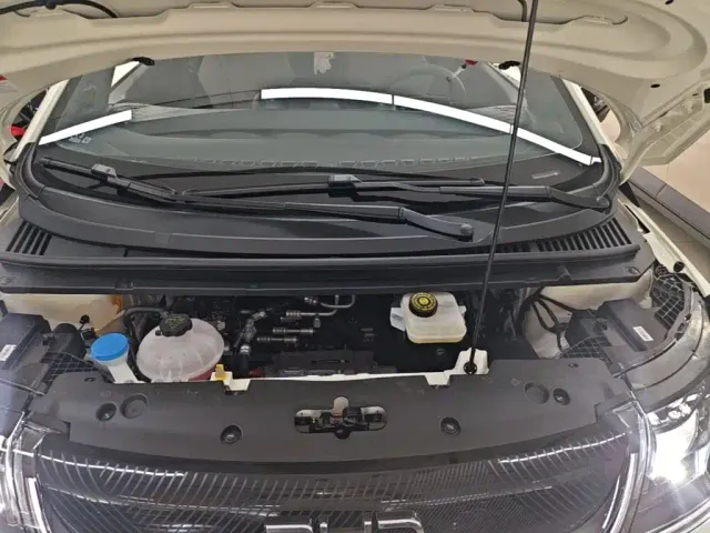 BYD Dolphin 2025 420km Freedom Edition — Фото автомобиля 19