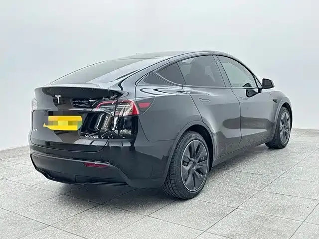 Tesla Model Y — Фото автомобиля 6