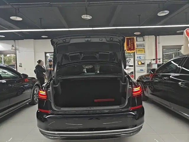Volkswagen Passat — Фото автомобиля 18