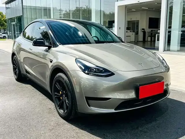 Tesla Model Y — Фото автомобиля 3