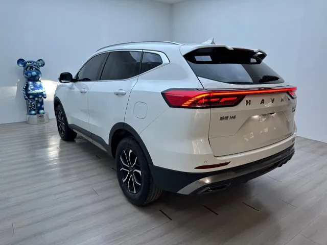 Haval H6 — Фото автомобиля 6