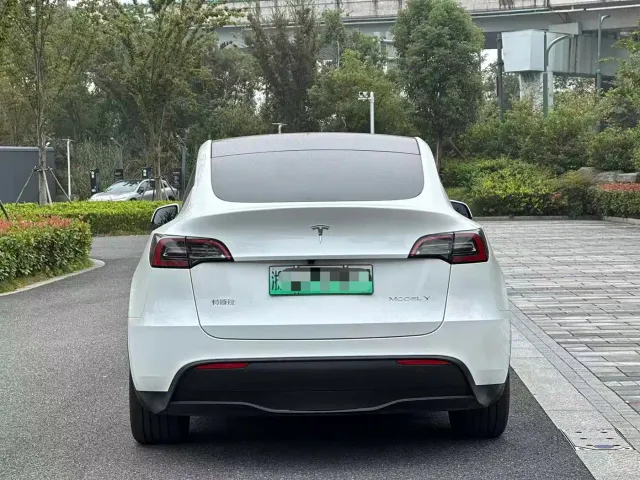 Tesla Model Y — Фото автомобиля 5