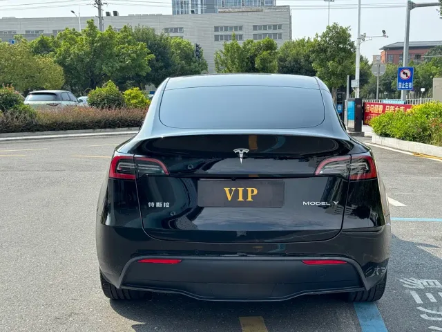 Tesla Model Y — Фото автомобиля 5