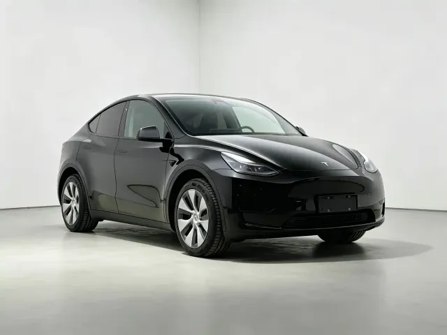 Tesla Model Y — Фото автомобиля 2