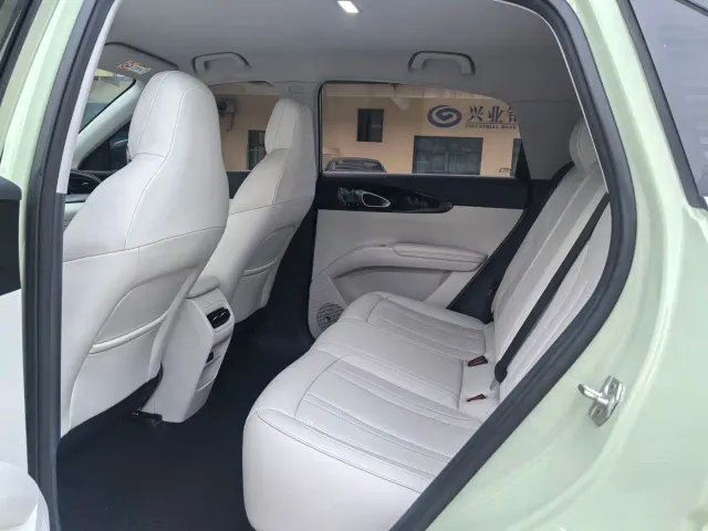 Geely Starry Wish — Фото автомобиля 9