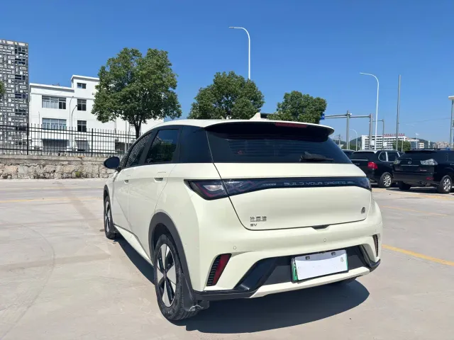 BYD Dolphin — Фото автомобиля 6