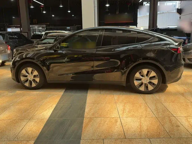 Tesla Model Y — Фото автомобиля 4
