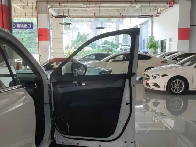 Ford Lingyu — Фото автомобиля 8