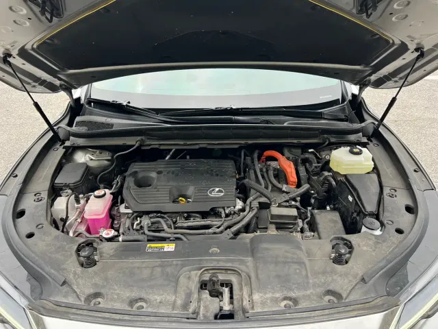 Lexus RX — Фото автомобиля 24