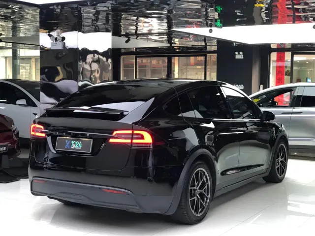 Tesla Model X — Фото автомобиля 7