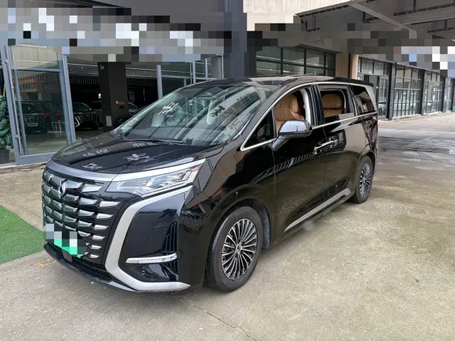 Фотография автомобиля — Denza D9