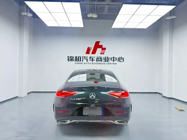 Mercedes-Benz CLS-Class — Фото автомобиля 9