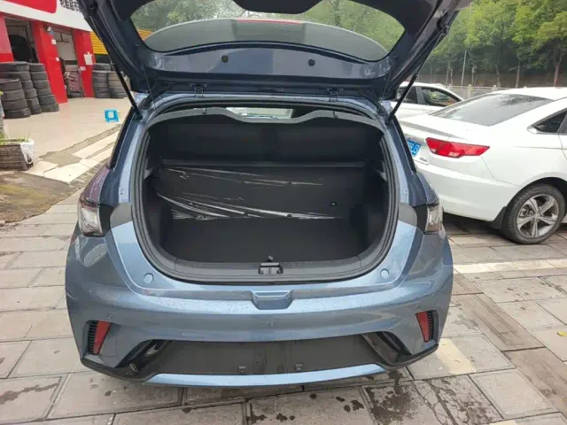 BYD Dolphin — Фото автомобиля 18