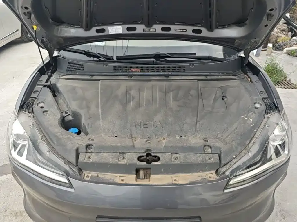 Nezha Auto Nezha V 2022 Tide 300 Lite Ternary Lithium — Фото автомобиля 19